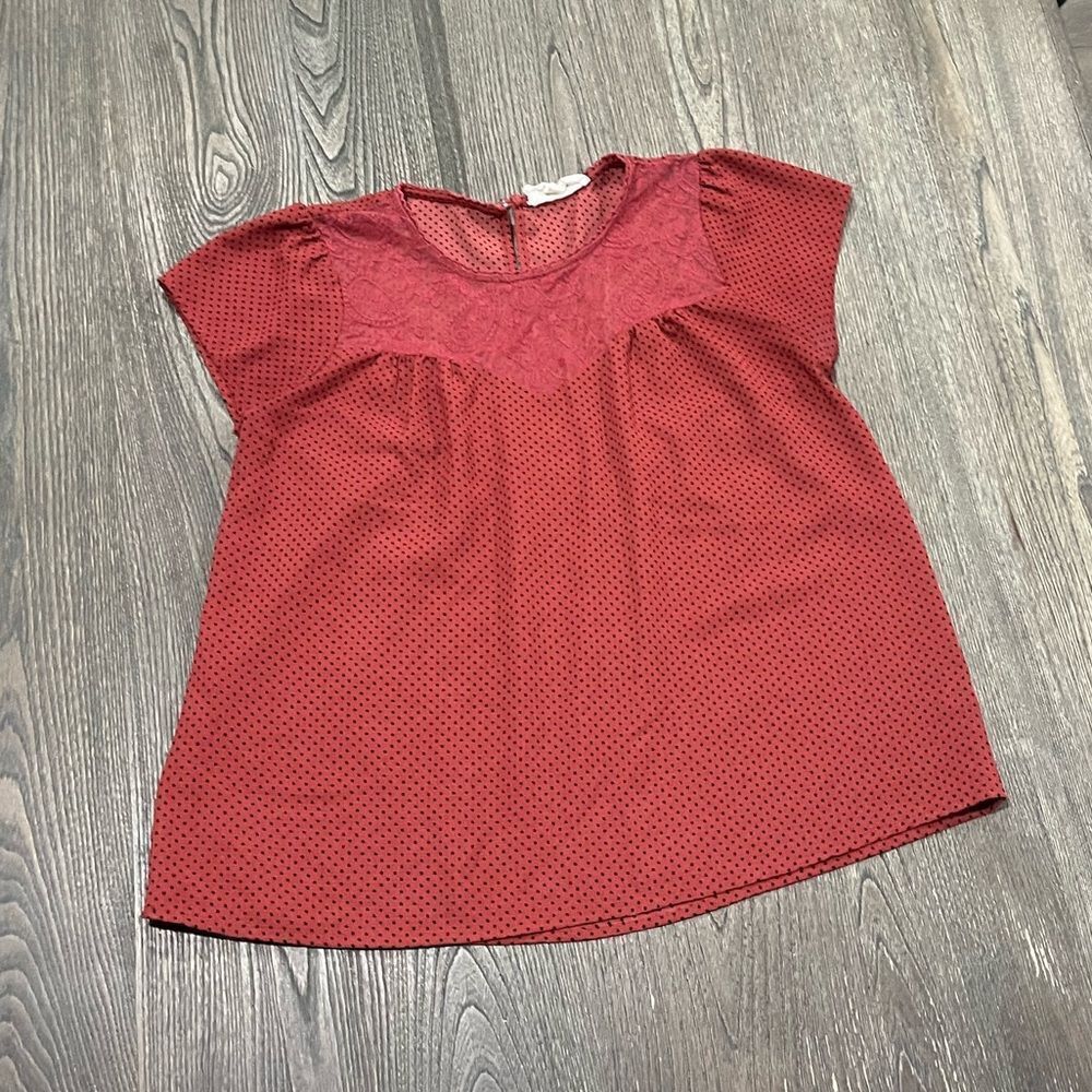 Sweet Wanderer Brown Black Polkadot Short Sleeve Blouse Crew Neck Size S